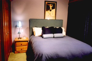 plush and comfortable